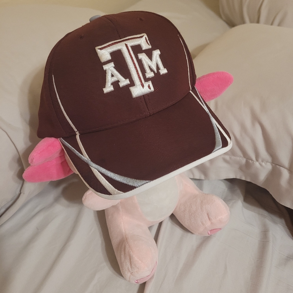 Texas A&M Hat - Picture 14 of 14